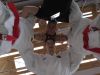 k-img_6391